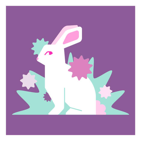 bunny bunny